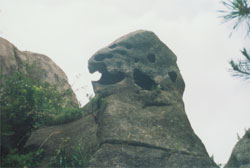 蒙山奇石