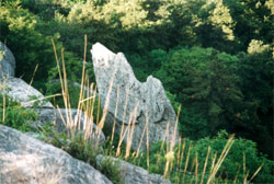蒙山奇石
