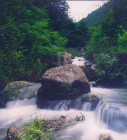 泉溪瀑布