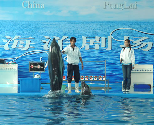 海洋剧场