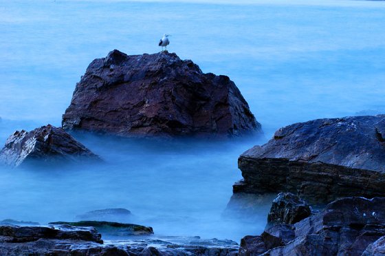 海驴岛风景区