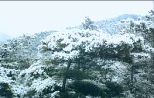 华山雪景