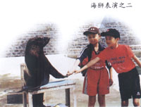 海狮表演馆