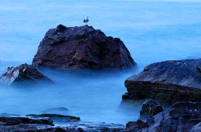 海驴岛