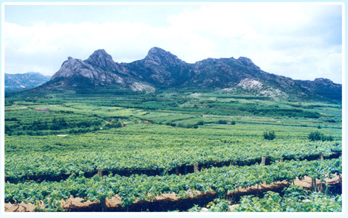 大泽山风景名胜区