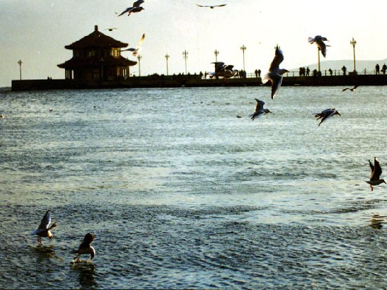 青岛海滨景区