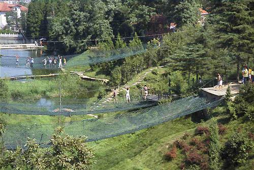 青岛植物园