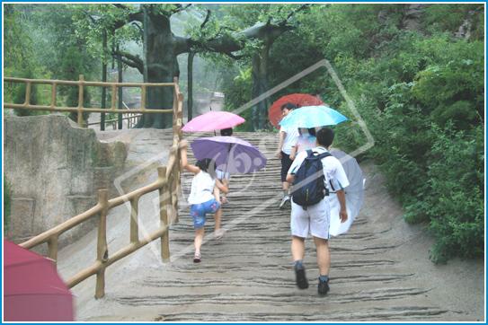 雨林谷