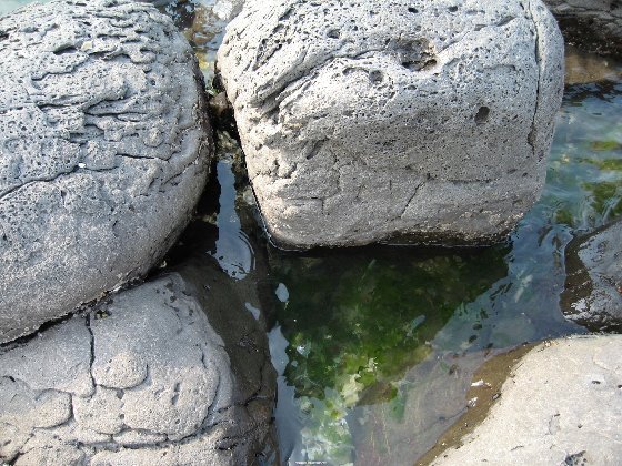 岩石－－螃蟹的家