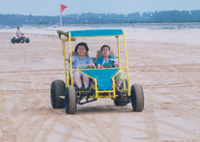 沙滩车