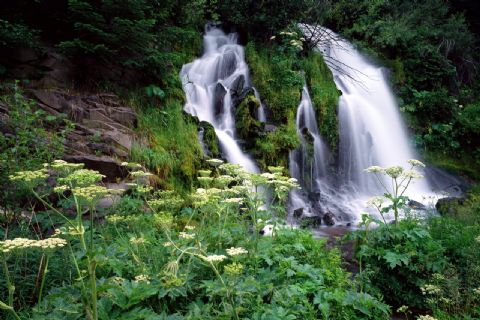 槎山风景区