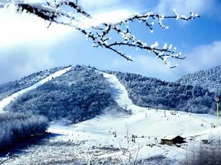 神农滑雪场