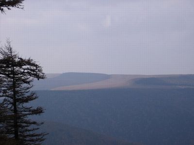 荷叶坪风景区