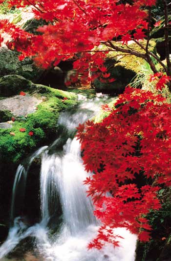 关门山的秋日红叶