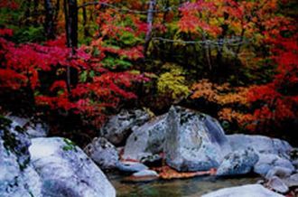 天华山风景