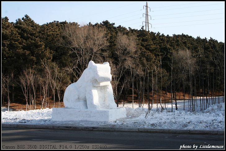 2008棋盘山国际冰雪节雪雕(二)