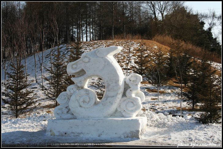 2008棋盘山国际冰雪节雪雕(二)