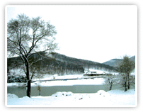 莲花山雪景