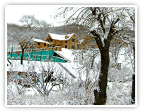 莲花山雪景