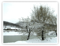 莲花山雪景