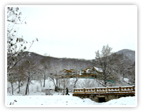 莲花山雪景