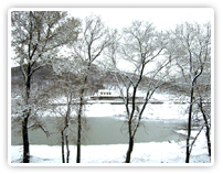 莲花山雪景