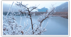 莲花山雪景