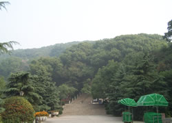 上海佘山国家森林基地