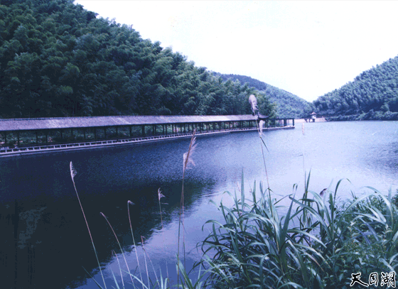 静湖翠影-竹海静湖