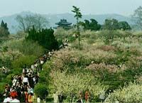 孙陵孙权墓