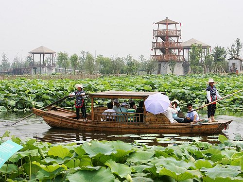 荷塘泛舟