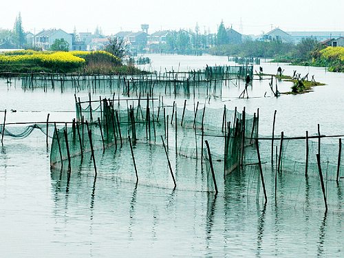 莲花岛风光