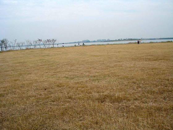 盛泽湖：湖心岛二号