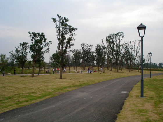 盛泽湖：湖心岛二号