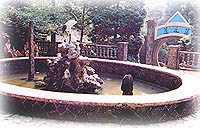 芦花荡公园