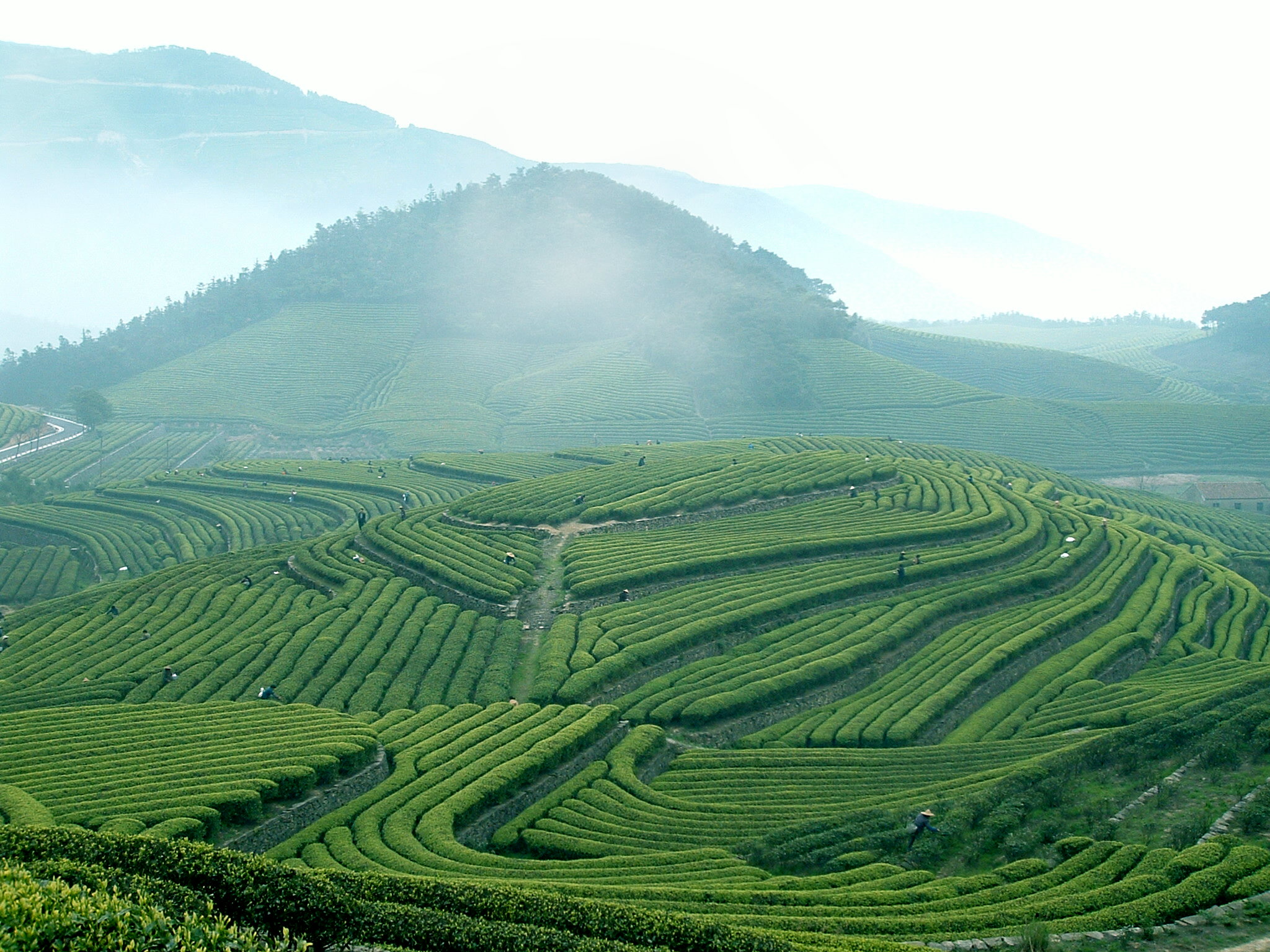 福泉山景区