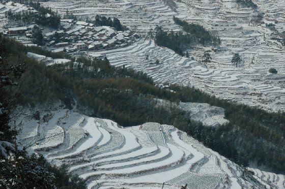 雪景