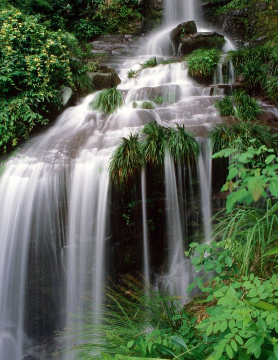 高山流水