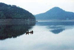 仙湖碧水