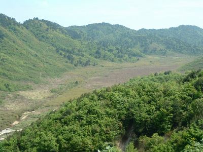 西径山风景