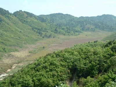 西径山风景