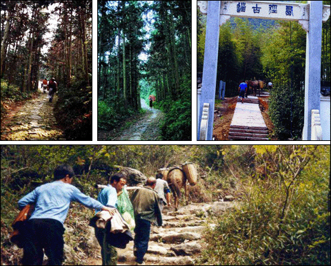 西径山风景