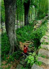 龙潭河