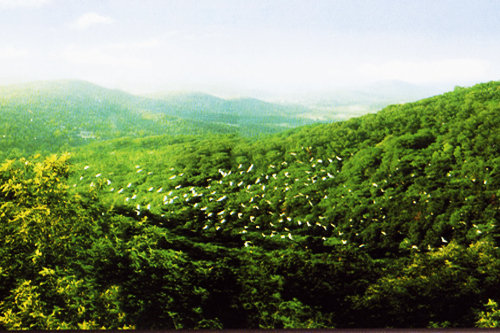 圆通飞鹭景区