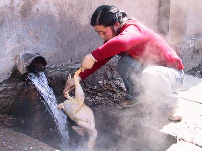 当地居民用涌出的温泉水烫洗宰杀的家禽