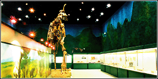 中生代恐龙化石厅