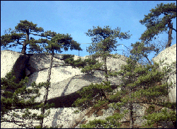 妙道山国家森林公园