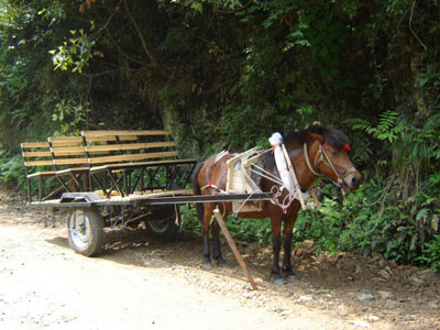 山间马车