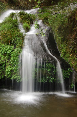 仙寓山富硒村