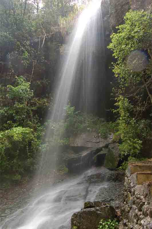 仙寓山富硒村